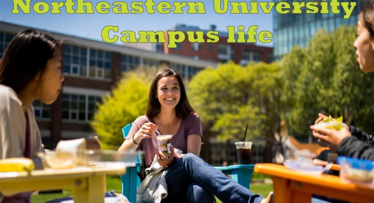 northeastern university campus life