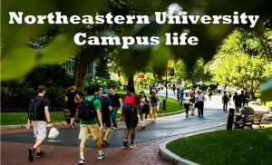 northeastern university campus life